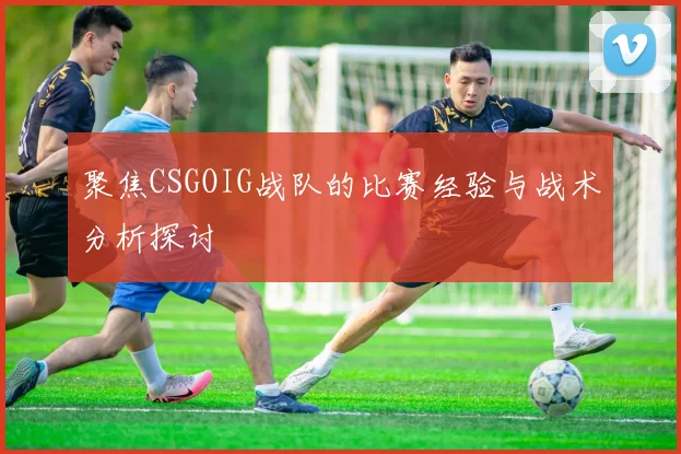 聚焦CSGOIG战队的比赛经验与战术分析探讨